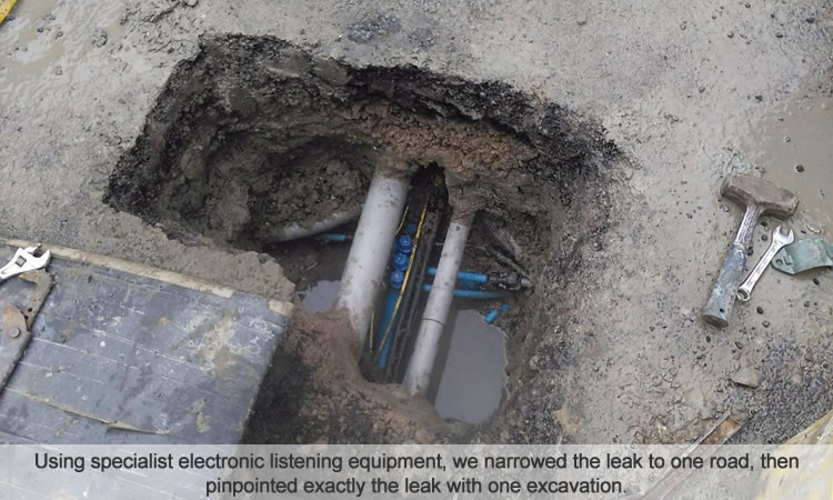 Water mains leak detection