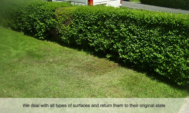 Original grass surace after water mains repair